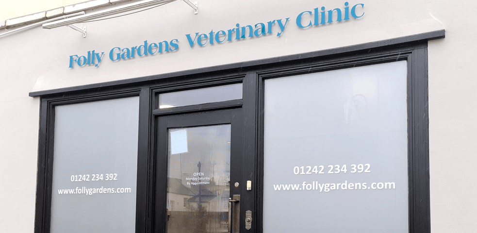 Folly Gardens Vets Cheltenham Vet Practice