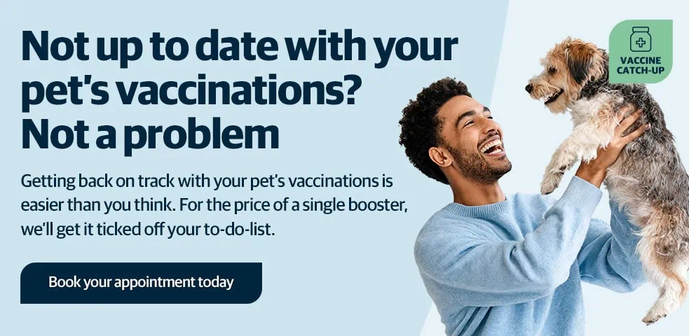 Vets in Tewkesbury, Vets in Cheltenham, Vets in Bishops Cleeve