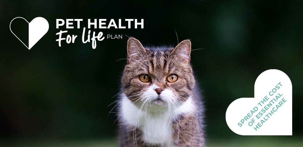 Cat Pet Health for Life Plan
