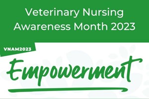 Veterinary Nursing Awareness Month at Folly Gardens Veterinary Clinic
