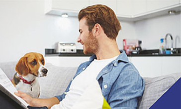 Importance of pet insurance